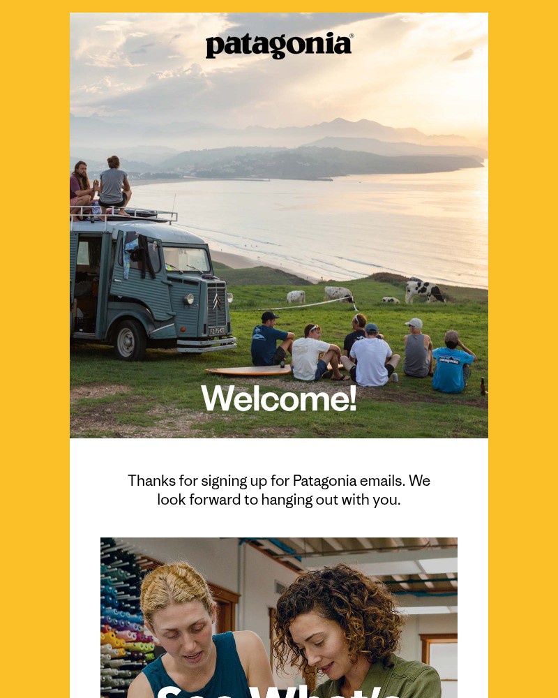 Screenshot of email sent to a Patagonia Newsletter subscriber