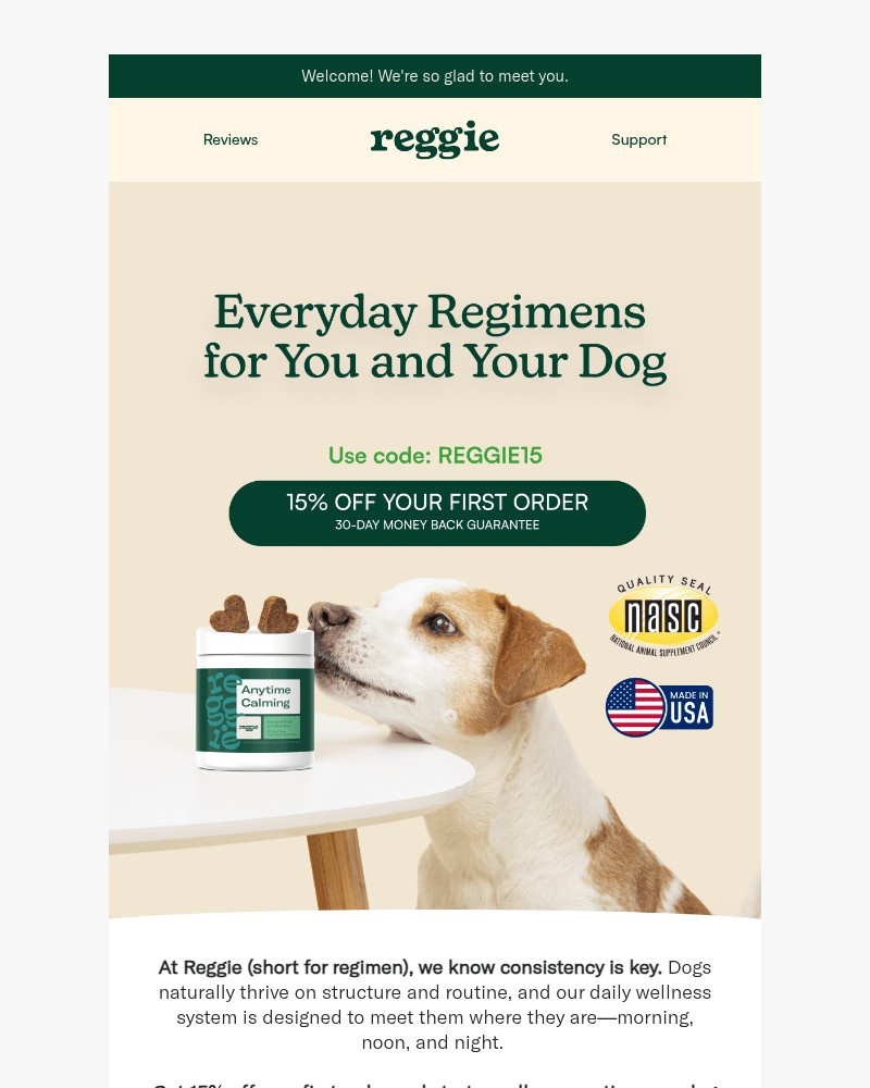 Screenshot of email with subject /media/emails/welcome-to-reggie-653c7a-cropped-57181e96.jpg