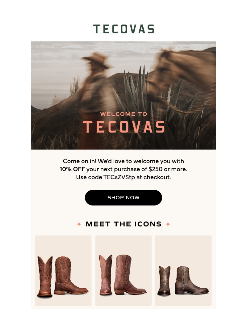 Screenshot of email sent to a Tecovas Newsletter subscriber