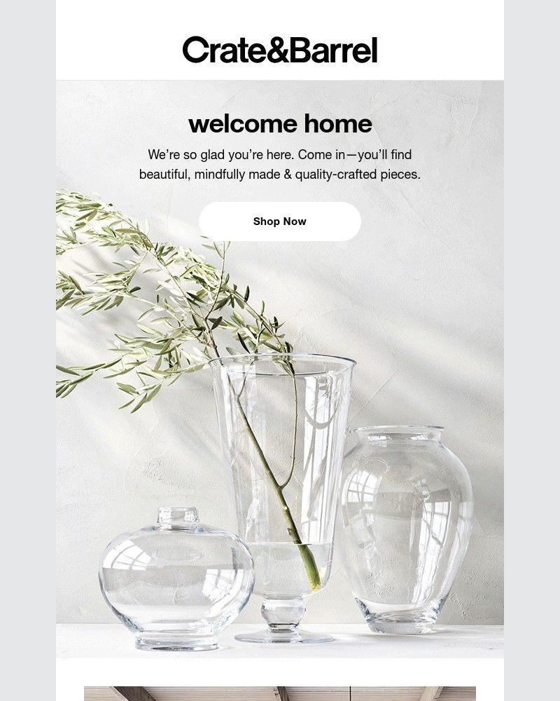 Screenshot of email with subject /media/emails/welcome-to-the-insider-list-c49738-cropped-317075a4.jpg