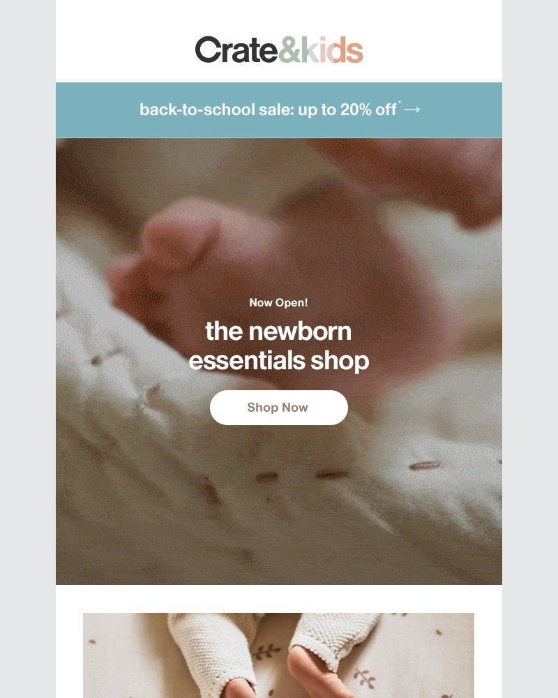 Screenshot of email with subject /media/emails/welcome-to-the-newborn-essentials-shop-123312-cropped-4704252d.jpg