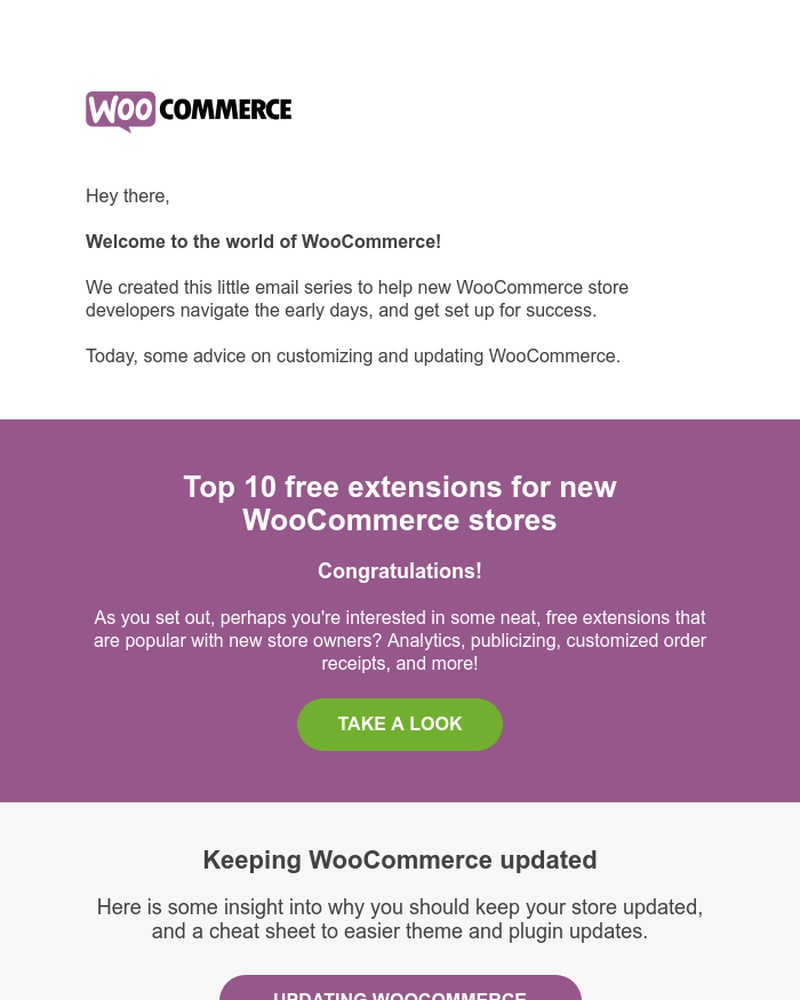Screenshot of email with subject /media/emails/welcome-to-the-world-of-woocommerce-cropped-a74497ec.jpg
