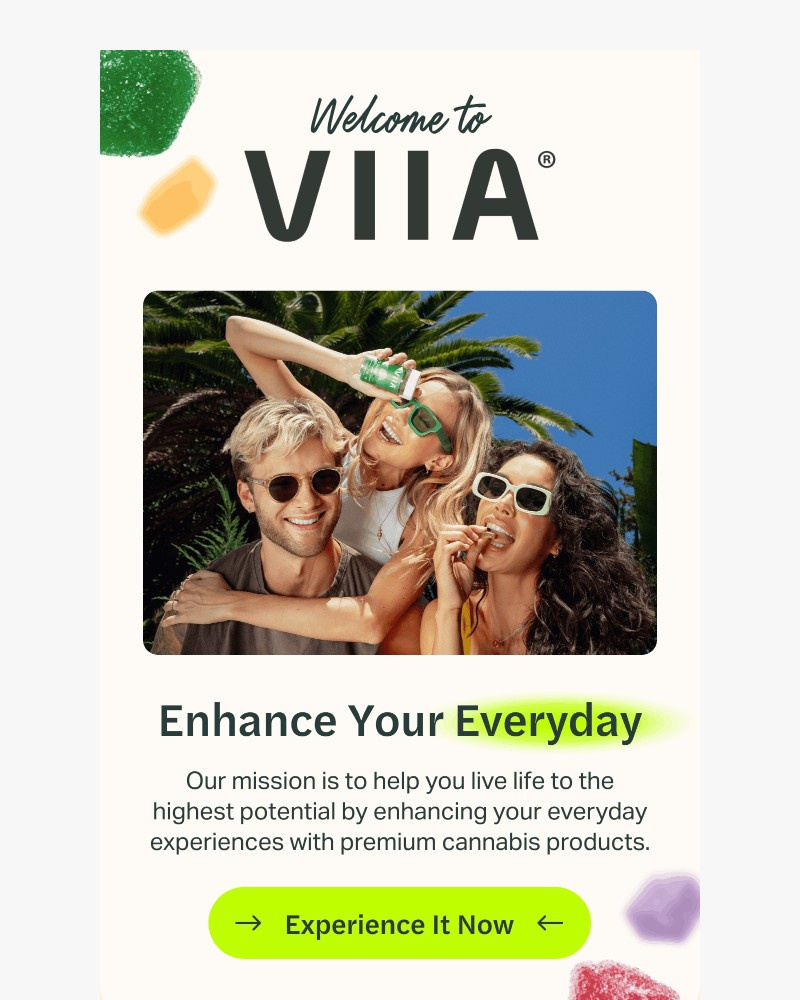 Screenshot of email sent to a VIIA Newsletter subscriber