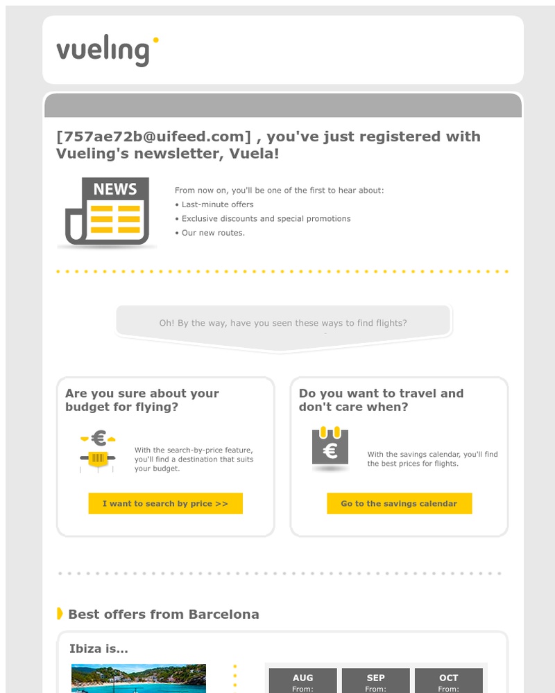 Screenshot of email sent to a Vueling Registered user