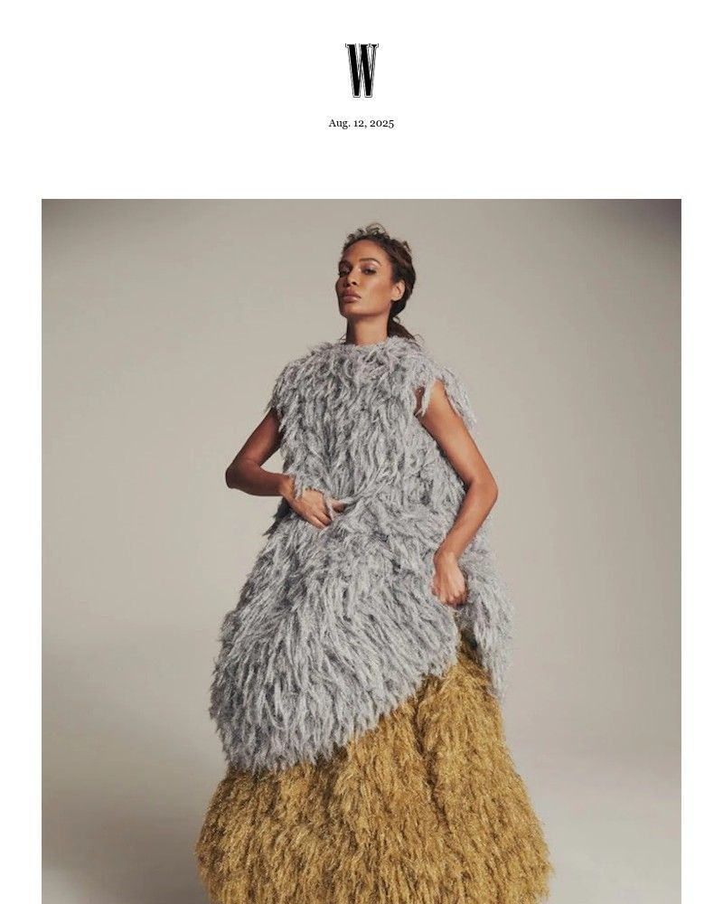 Screenshot of email sent to a W Newsletter subscriber