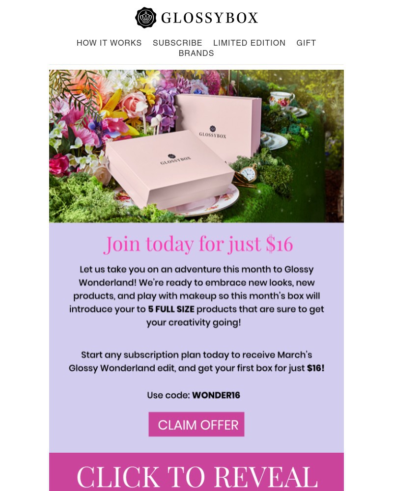 Screenshot of email with subject /media/emails/welcome-to-wonderland-for-just-16-5c8c66-cropped-247f3e45.jpg