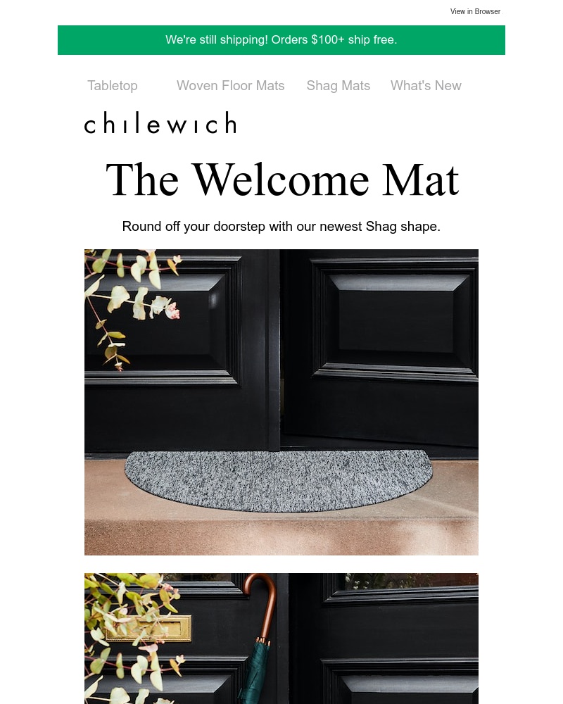 Screenshot of email with subject /media/emails/welcoming-a-new-shag-mat-shape-cropped-038451f5.jpg