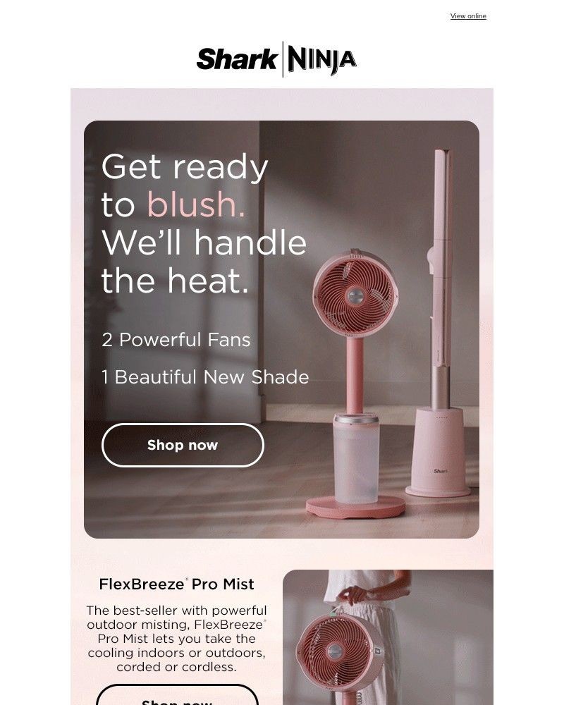 Screenshot of email with subject /media/emails/were-blushing-3cffa4-cropped-df7702c5.jpg