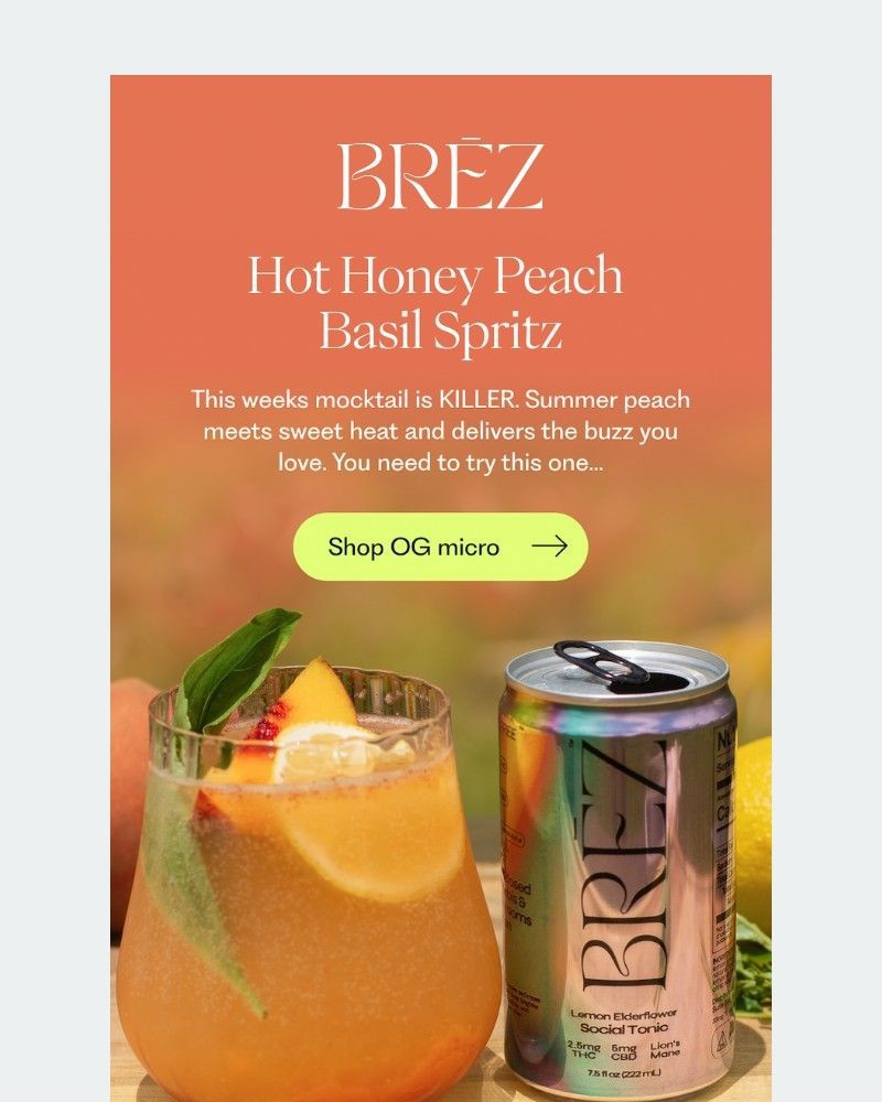Screenshot of email sent to a Brez Newsletter subscriber