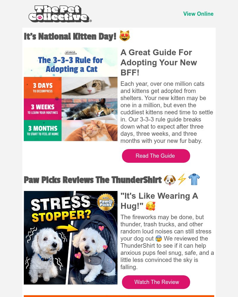 Screenshot of email with subject /media/emails/were-not-kiddin-its-national-kitten-day-b68e3b-cropped-51a72f69.jpg