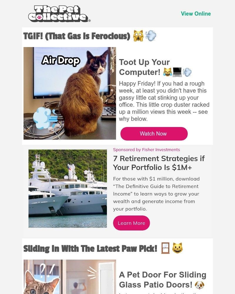 Screenshot of email with subject /media/emails/were-not-kitten-around-in-our-latest-video-d1be78-cropped-5ca0a536.jpg