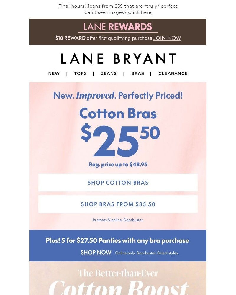 Screenshot of email with subject /media/emails/were-sorry-we-had-to-cotton-bras-2550-c105c0-cropped-a9289c26.jpg