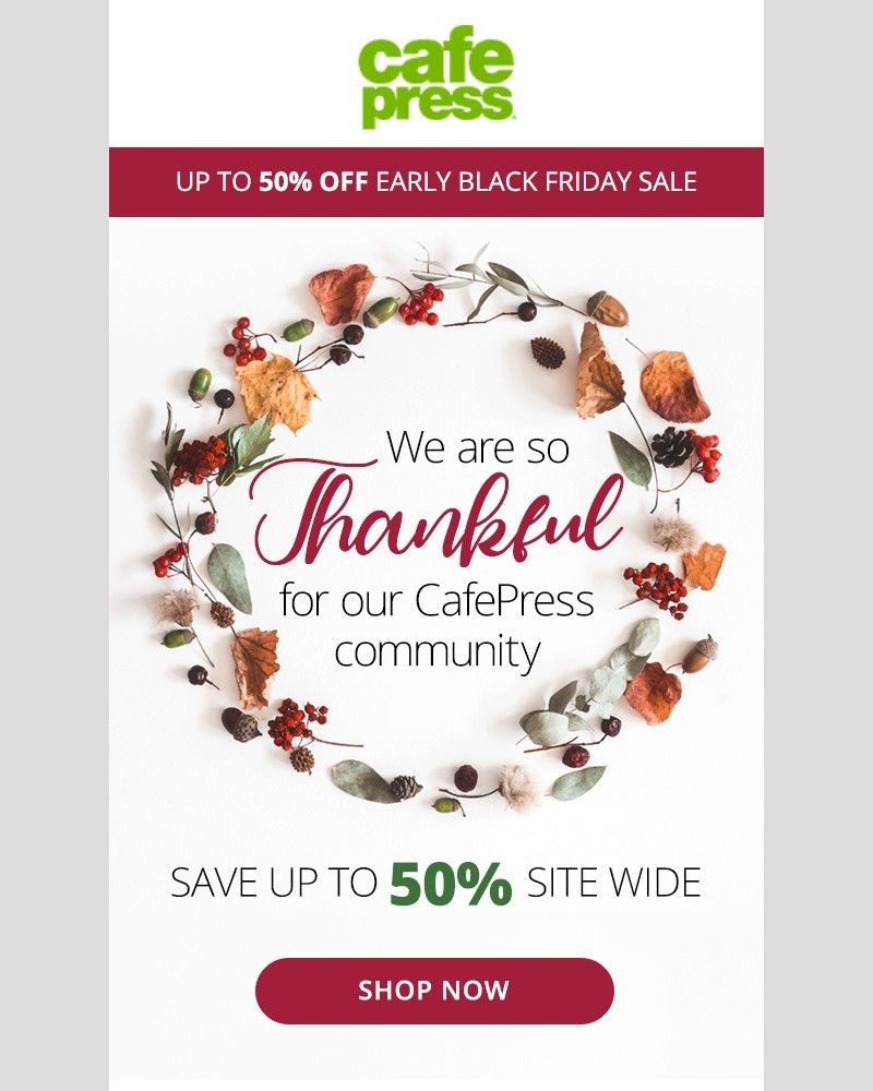 Screenshot of email with subject /media/emails/were-thankful-for-you-save-up-to-50-sitewide-bf237d-cropped-9ea21abe.jpg