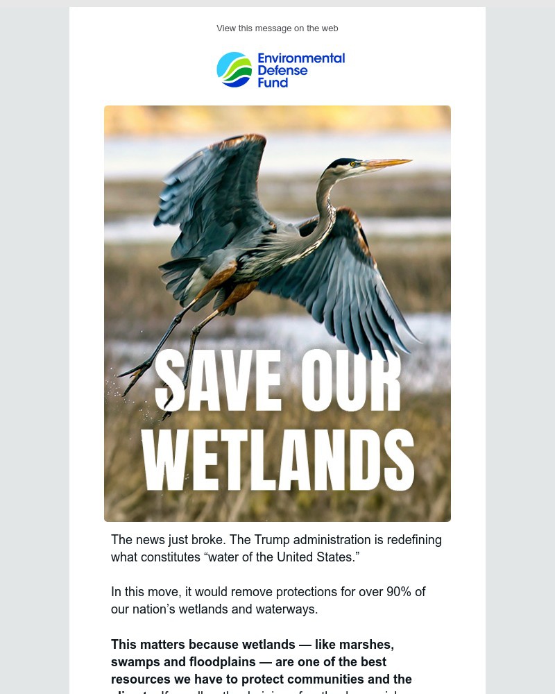 Screenshot of email with subject /media/emails/wetlands-face-pollution-and-destruction-bc9771-cropped-15d7a229.jpg