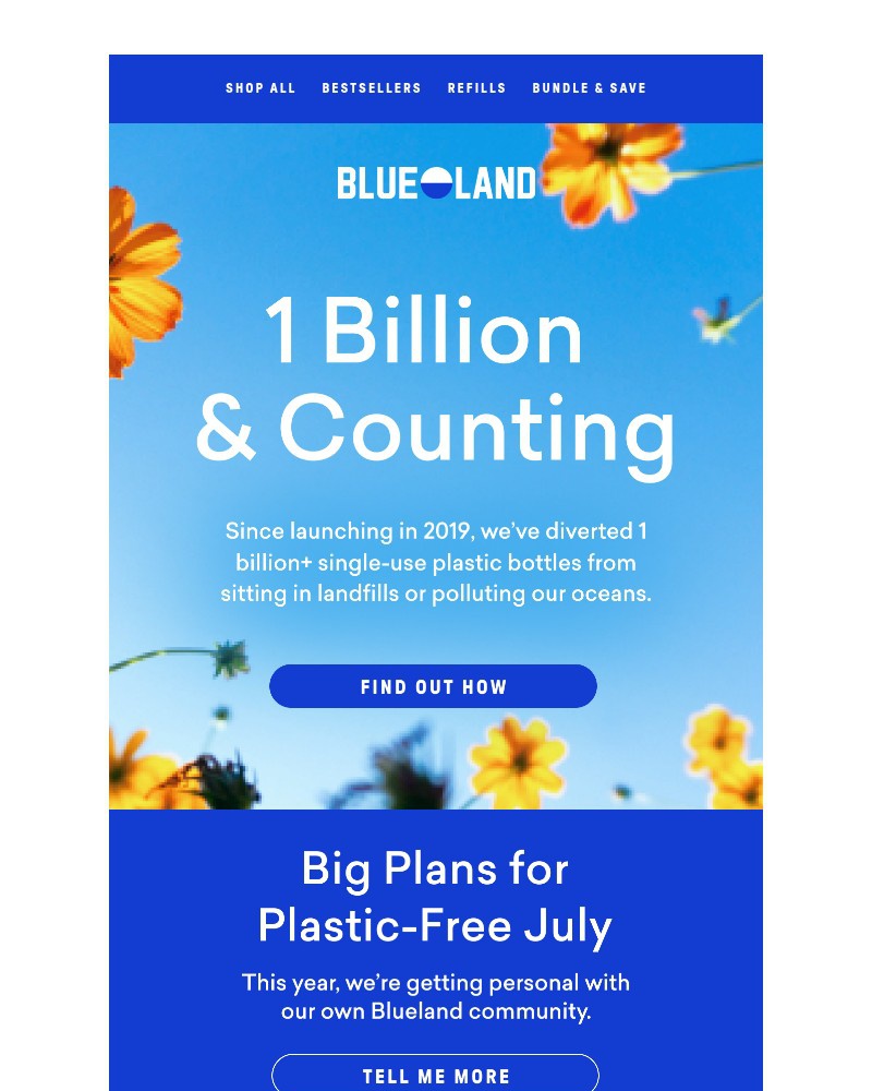 Screenshot of email sent to a Blueland Newsletter subscriber