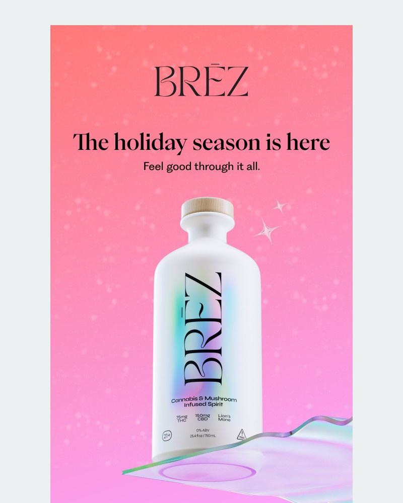 Screenshot of email with subject /media/emails/weve-got-holiday-spirit-8194aa-cropped-46ab891f.jpg