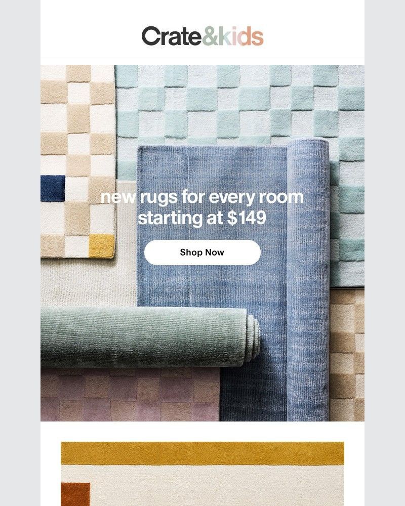 Screenshot of email with subject /media/emails/weve-got-the-perfect-rug-for-every-kid-space-da91cc-cropped-fa62bd70.jpg