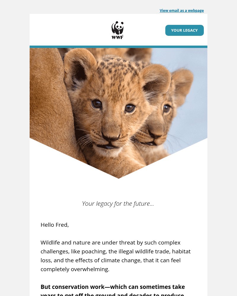 Screenshot of email with subject /media/emails/what-do-you-want-the-world-to-look-like-for-future-generations-82ddae-cropped-bf08a6fd.jpg