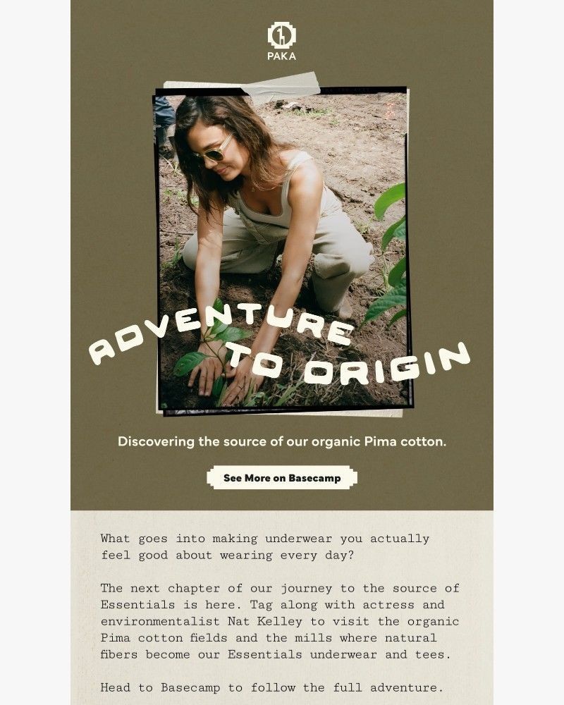 Screenshot of email sent to a Paka Newsletter subscriber