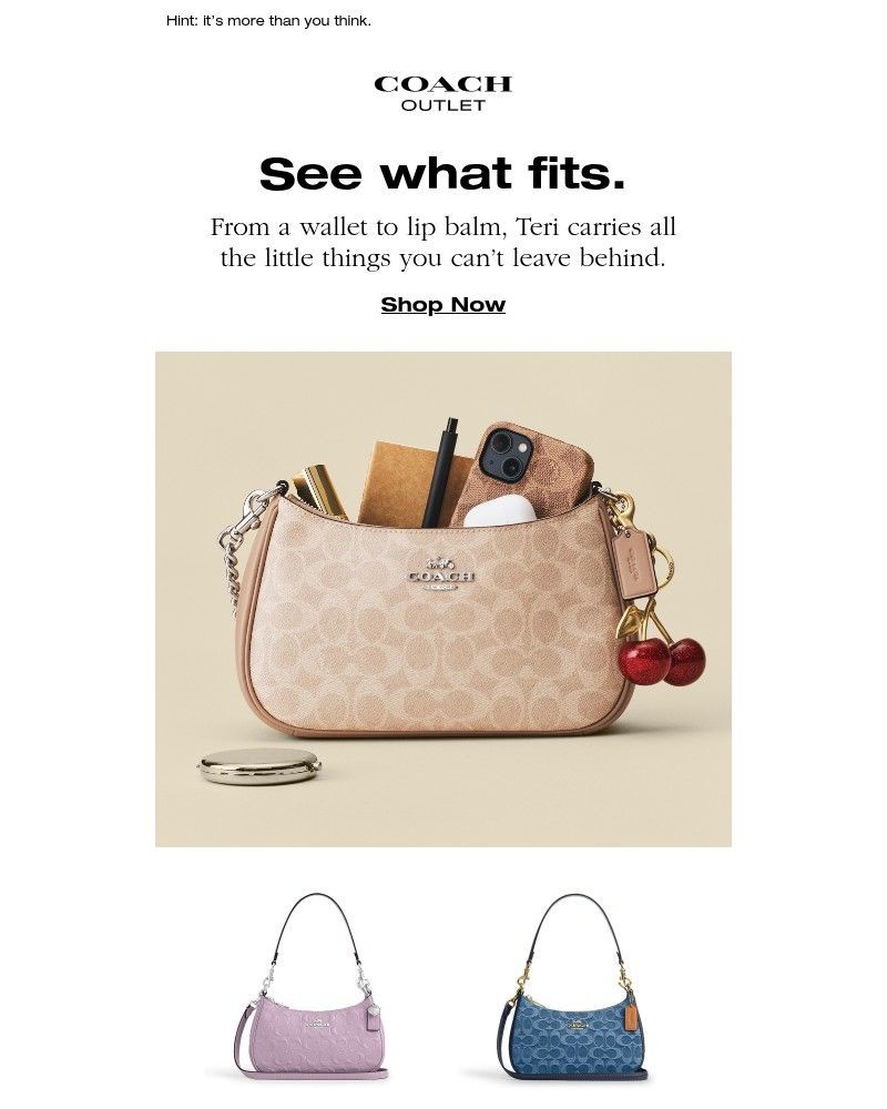 Screenshot of email sent to a Coach Newsletter subscriber