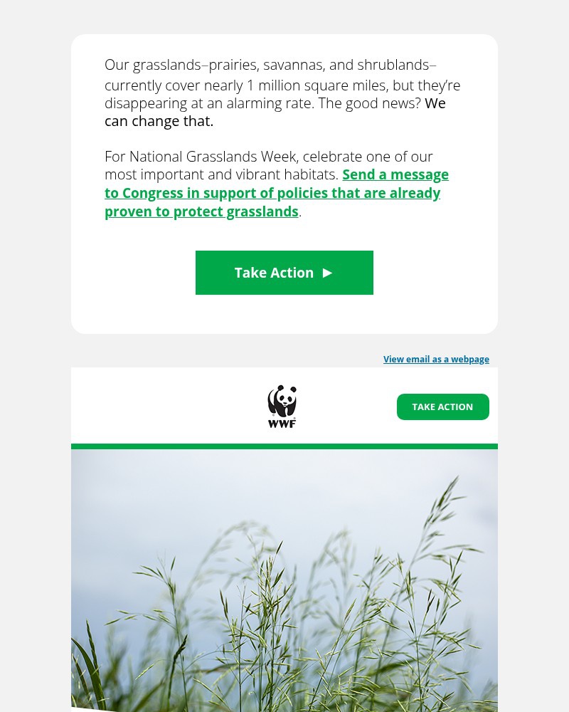 Screenshot of email with subject /media/emails/what-feeds-us-filters-our-water-and-supports-iconic-wildlife-16c9d5-cropped-e4edcaf2.jpg