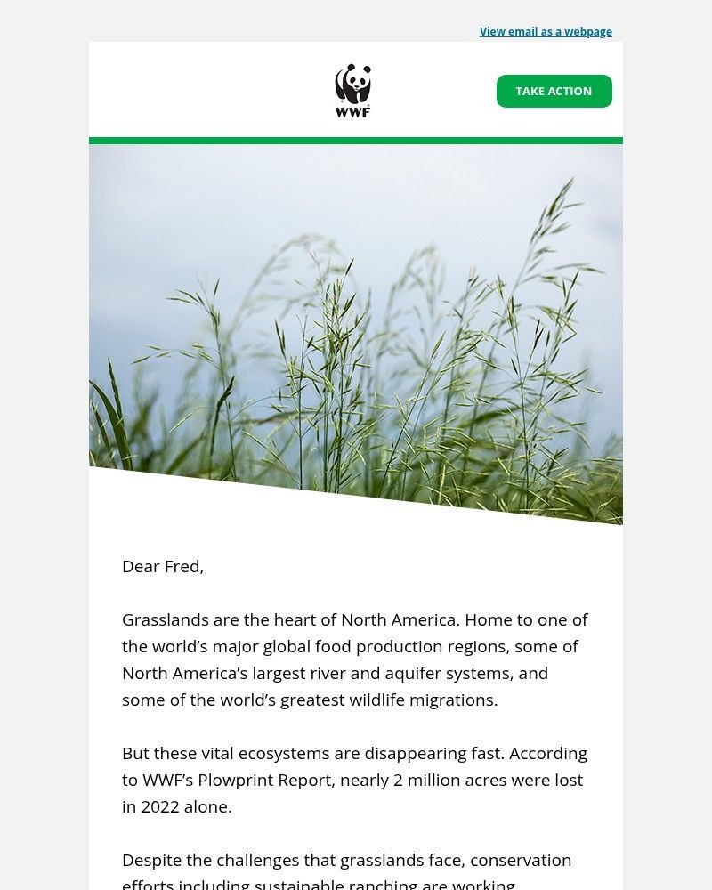 Screenshot of email with subject /media/emails/what-feeds-us-filters-our-water-and-supports-iconic-wildlife-619fde-cropped-a221e9fd.jpg