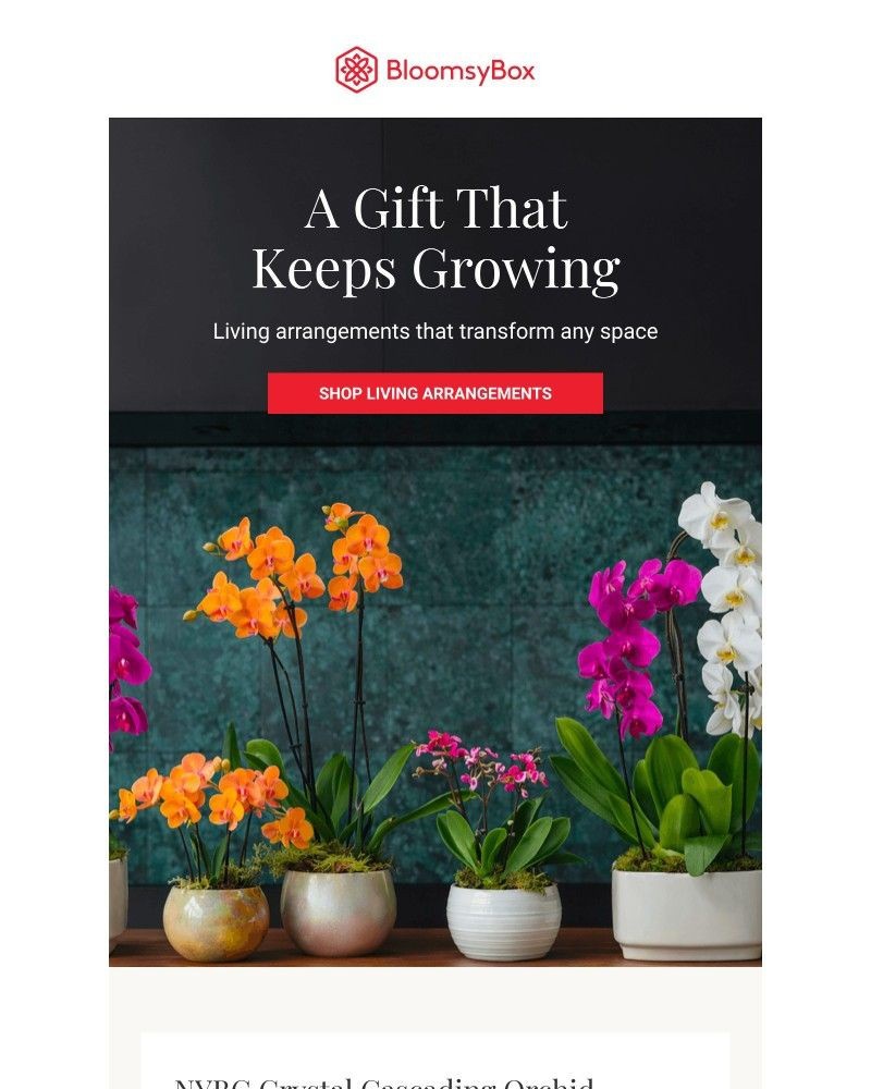 Screenshot of email with subject /media/emails/what-grows-in-your-space-becomes-part-of-it-d01c29-cropped-d684a536.jpg