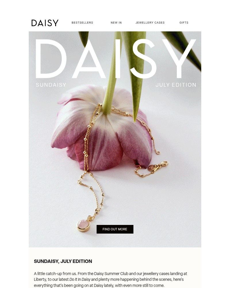 Screenshot of email with subject /media/emails/what-happened-at-daisy-this-month-95485a-cropped-aa66b0d6.jpg