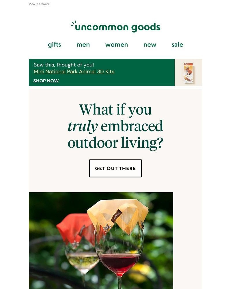 Screenshot of email with subject /media/emails/what-if-you-truly-embraced-outdoor-living-732d11-cropped-6e53eb83.jpg