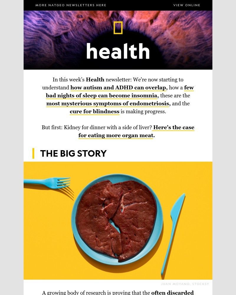 Screenshot of email with subject /media/emails/what-insomnia-does-to-the-body-how-autism-and-adhd-overlap-should-you-eat-more-or_Y2qAZvM.jpg