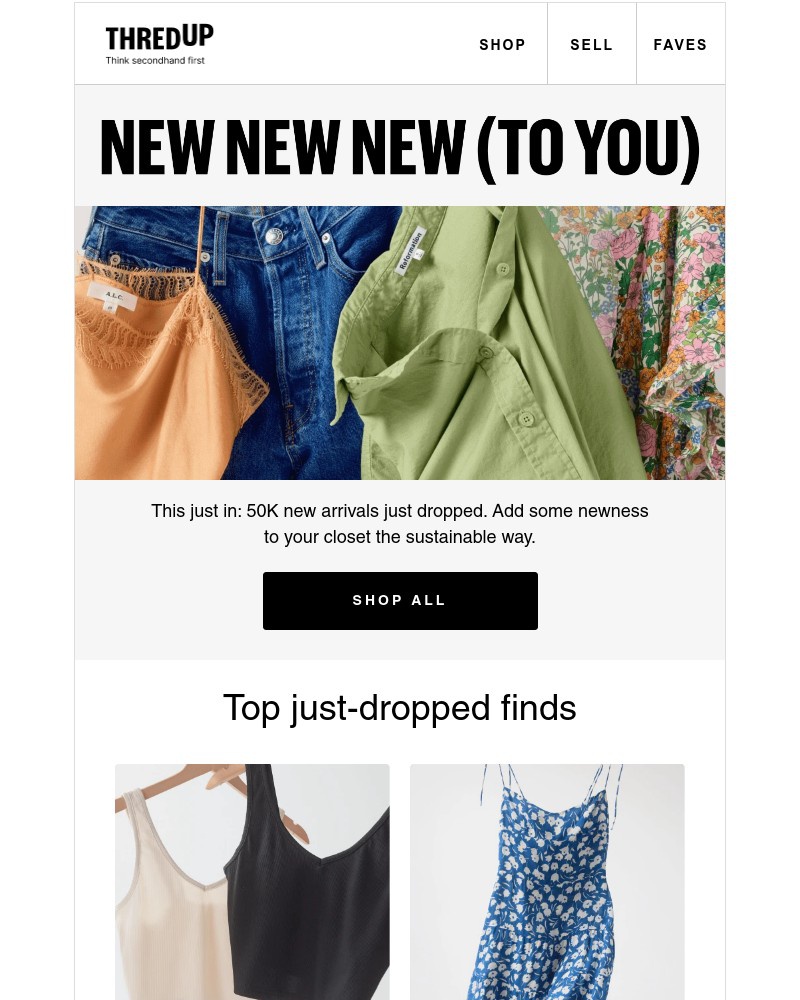 Screenshot of email with subject /media/emails/what-just-dropped-is-ready-for-your-cart-e7904b-cropped-6ac38486.jpg