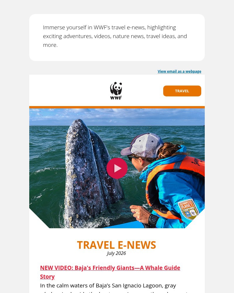 Screenshot of email with subject /media/emails/what-seeing-whales-up-close-looks-like-5afe4d-cropped-d5cb69d5.jpg