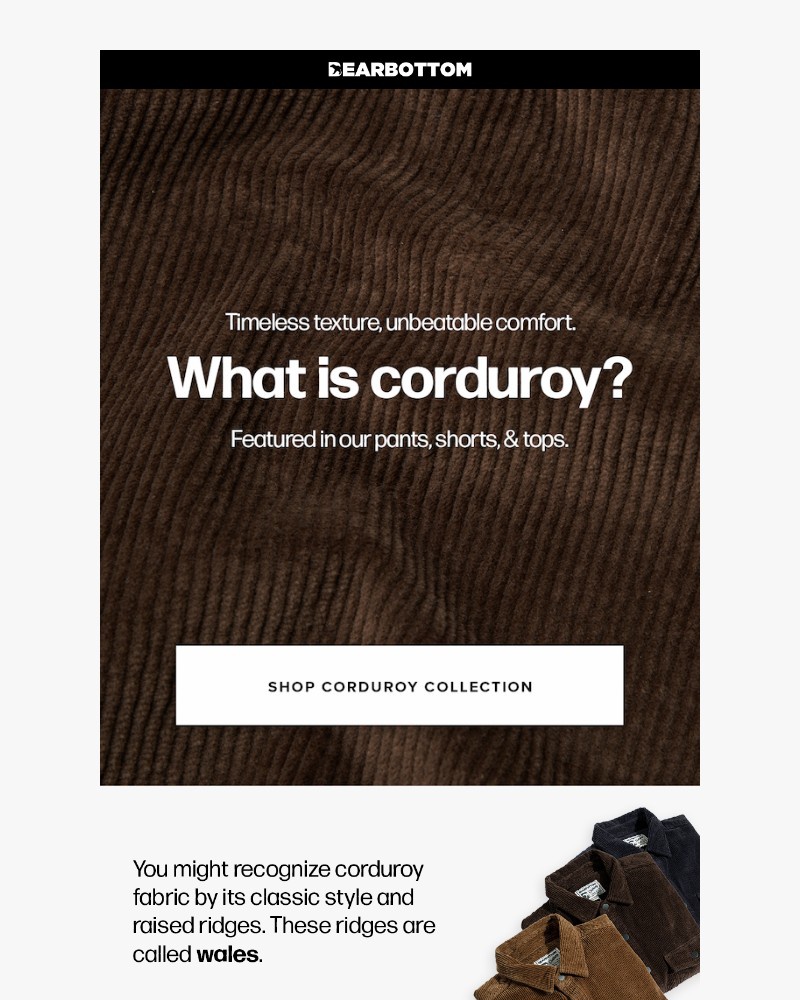 Screenshot of email sent to a Bearbottom Clothing Newsletter subscriber