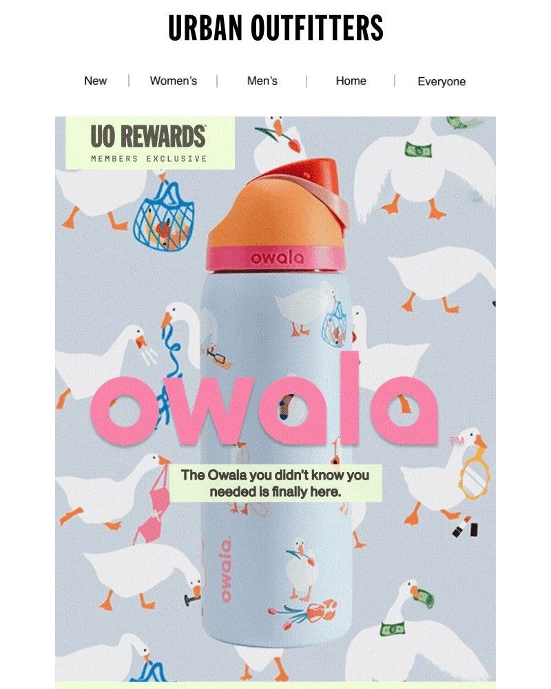 Screenshot of email with subject /media/emails/what-the-honk-everyone-wants-this-owala-87e9ba-cropped-8e577f4e.jpg