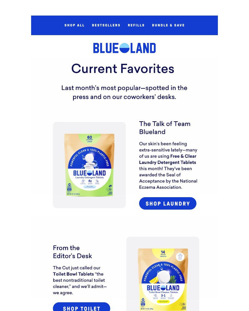 Screenshot of email sent to a Blueland Newsletter subscriber
