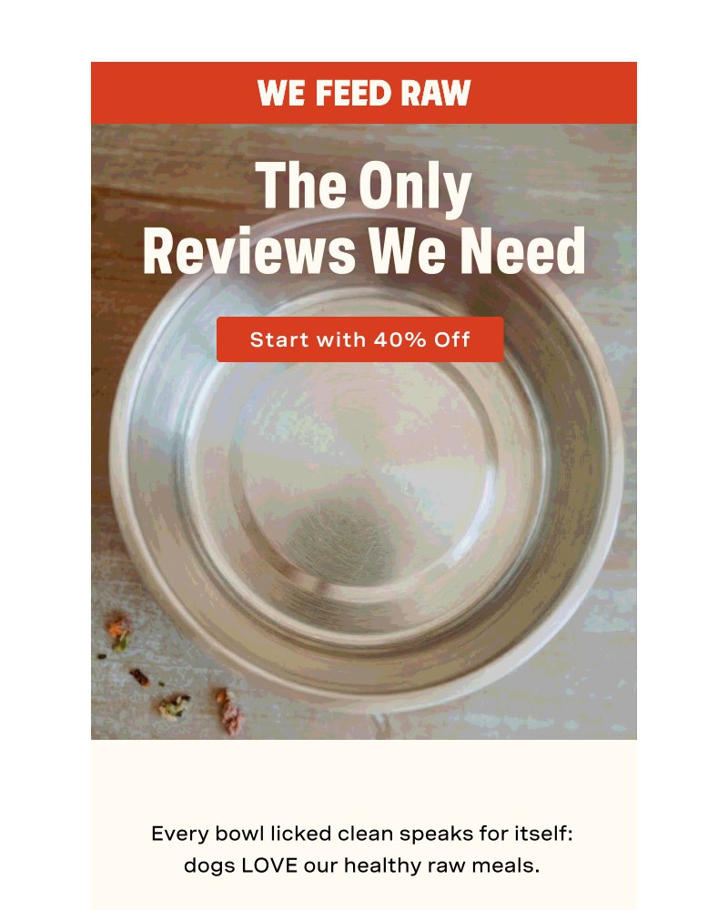 Screenshot of email sent to a We Feed Raw Newsletter subscriber