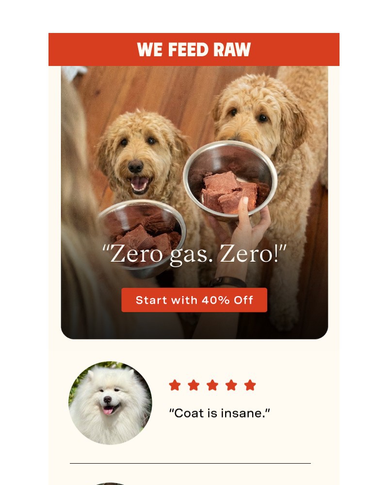 Screenshot of email with subject /media/emails/what-will-you-say-about-your-pup-f99b54-cropped-689050b1.jpg