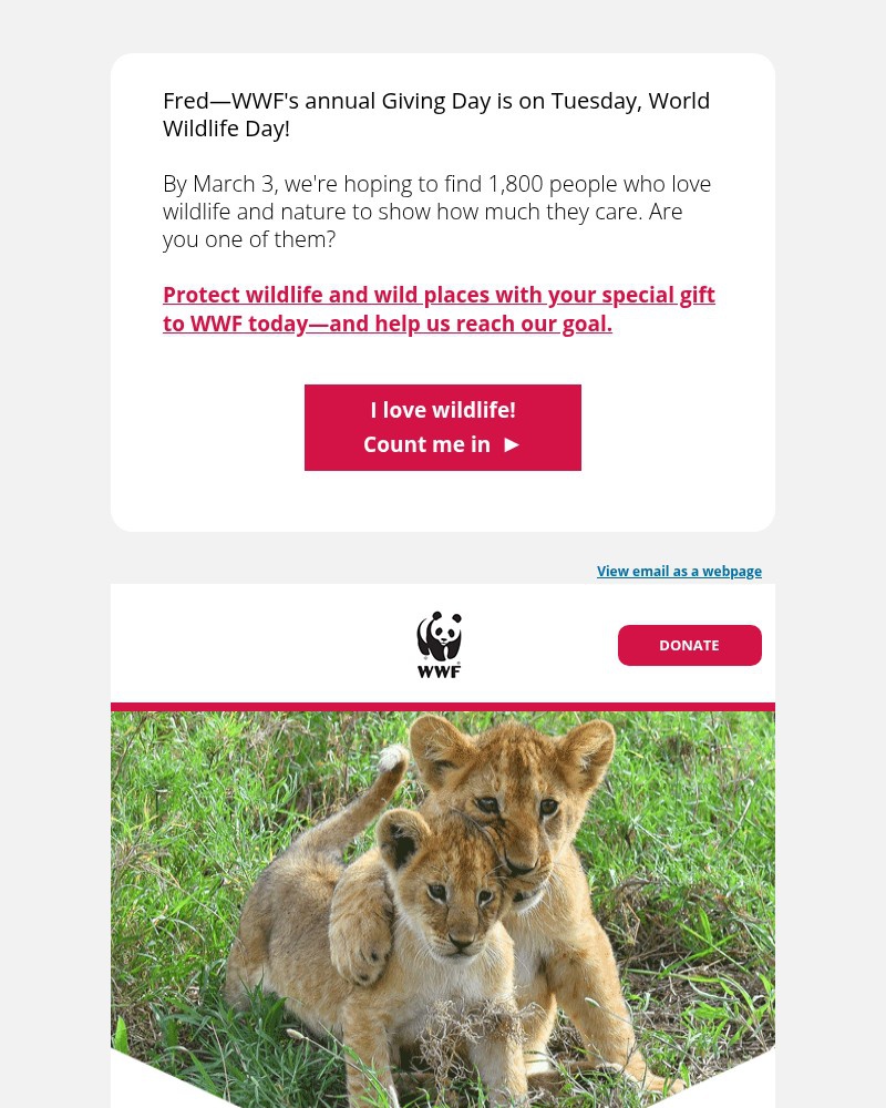 Screenshot of email with subject /media/emails/what-you-can-do-today-if-you-love-wildlife-2bcdbf-cropped-cfc5c38d.jpg