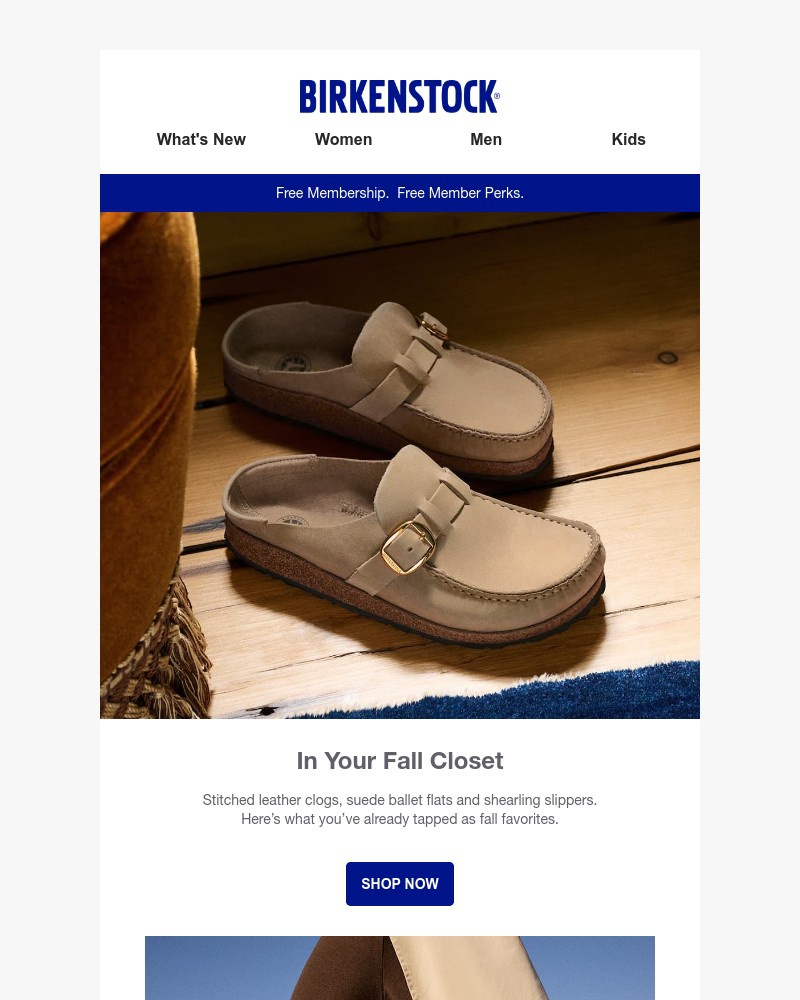 Screenshot of email with subject /media/emails/what-you-picked-for-your-fall-closet-from-boots-to-ballet-flats-57a085-cropped-1b26bc1e.jpg