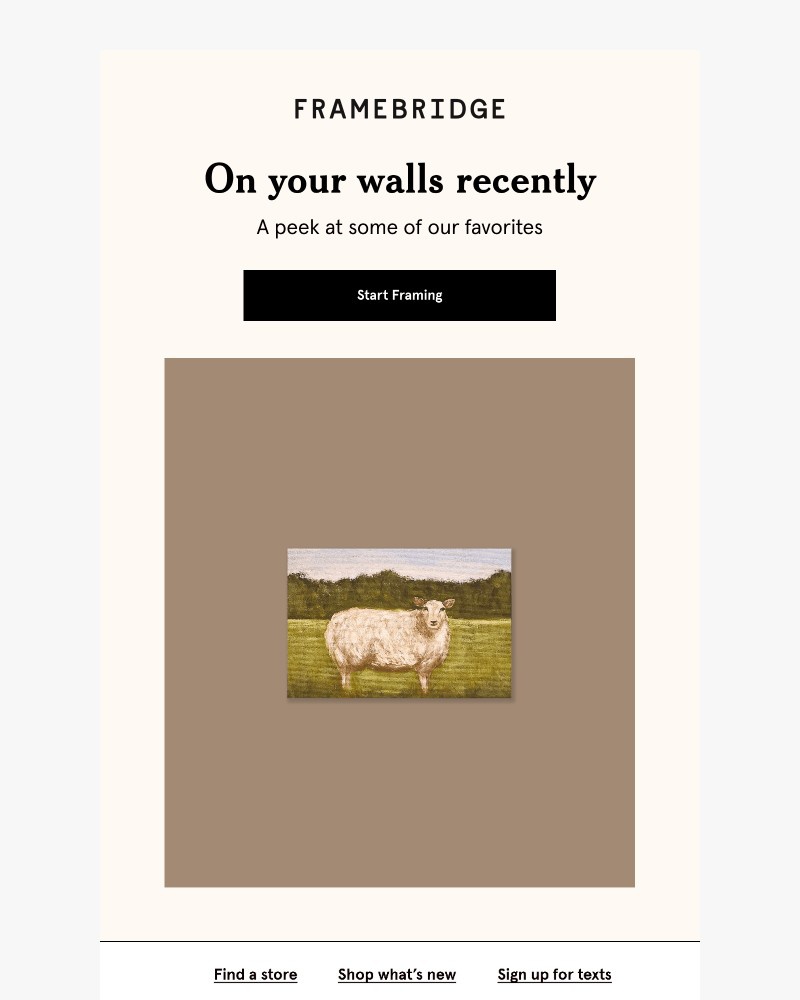 Screenshot of email sent to a Fleur & Bee Customer