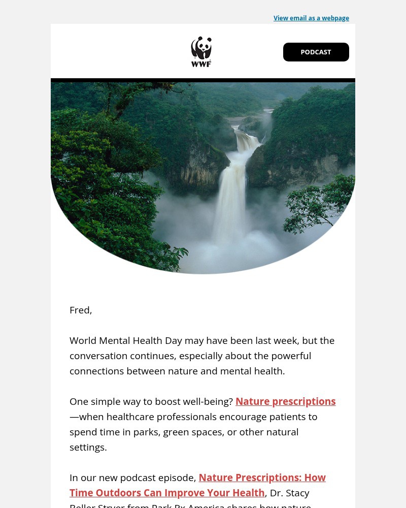 Screenshot of email with subject /media/emails/whats-a-nature-prescription-4cc32c-cropped-b4f06aca.jpg