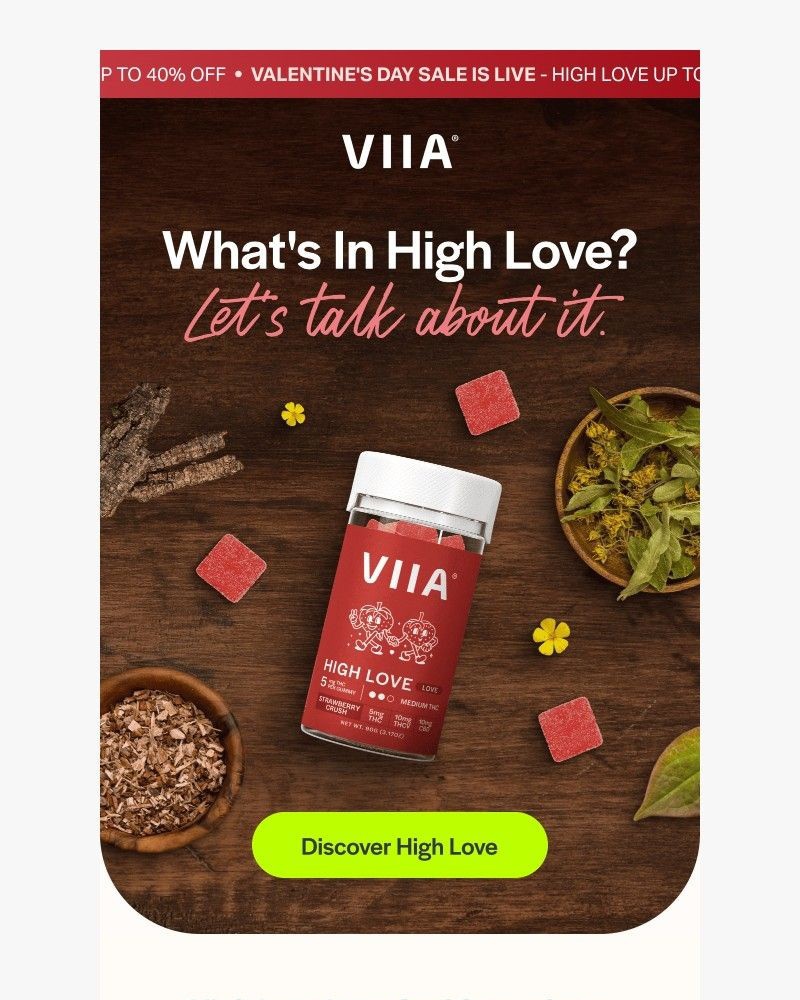 Screenshot of email sent to a VIIA Newsletter subscriber