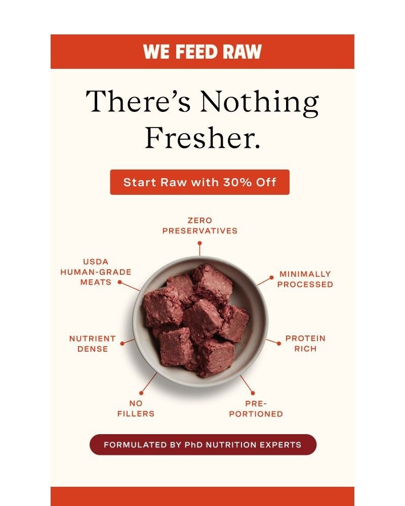 Screenshot of email with subject /media/emails/whats-best-for-your-pup-587887-cropped-61b9457e.jpg