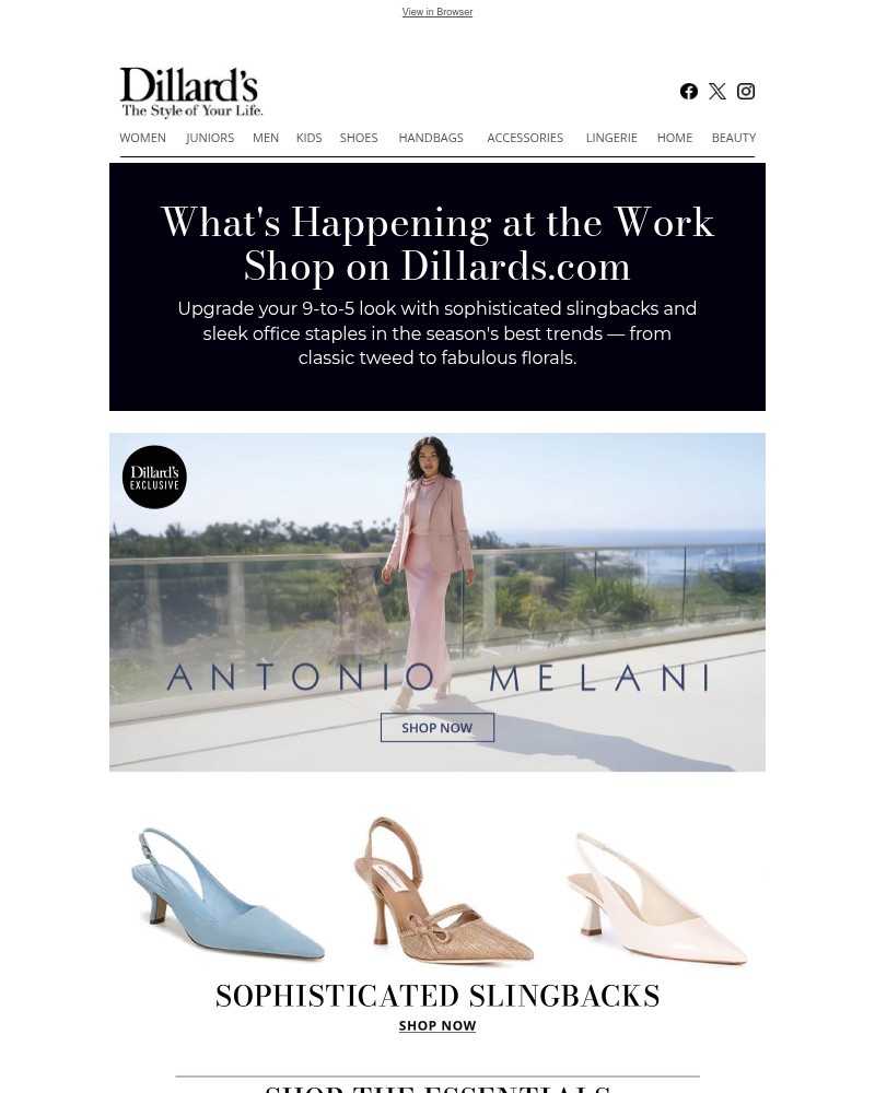 Screenshot of email sent to a Dillards Newsletter subscriber