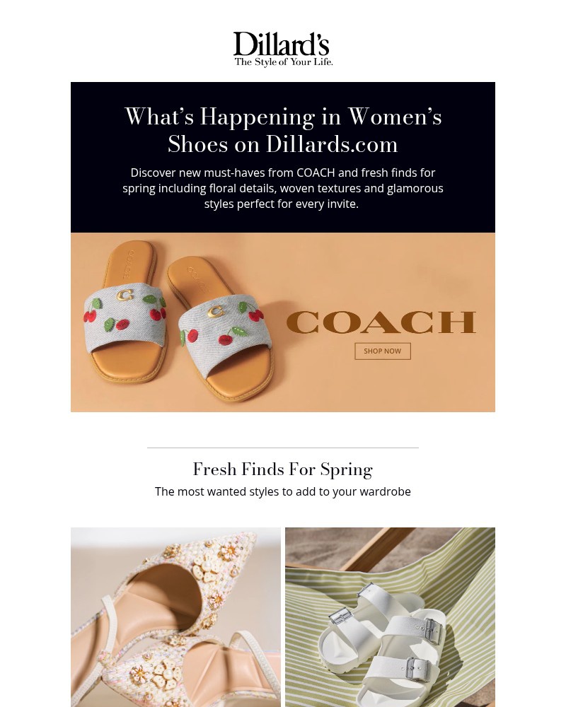 Screenshot of email sent to a Dillards Newsletter subscriber