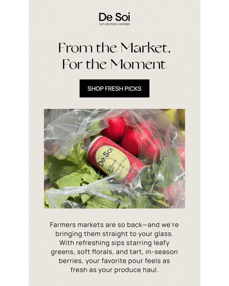 Screenshot of email sent to a De Soi Newsletter subscriber