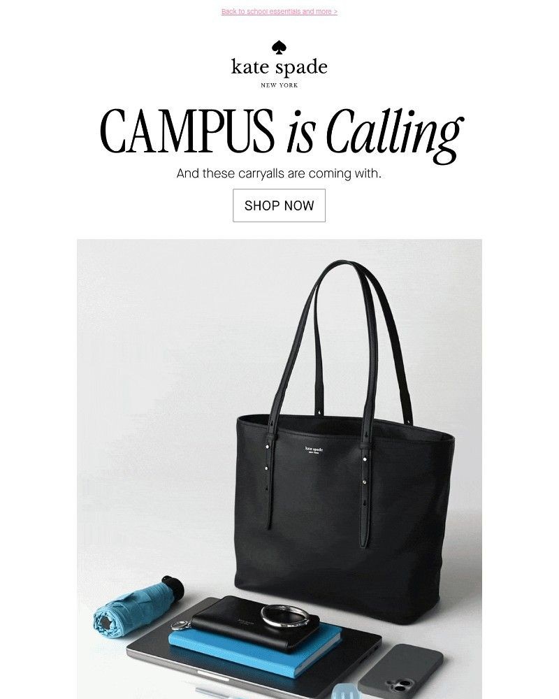 Screenshot of email with subject /media/emails/whats-in-your-bag-faf71e-cropped-9d6bfa46.jpg