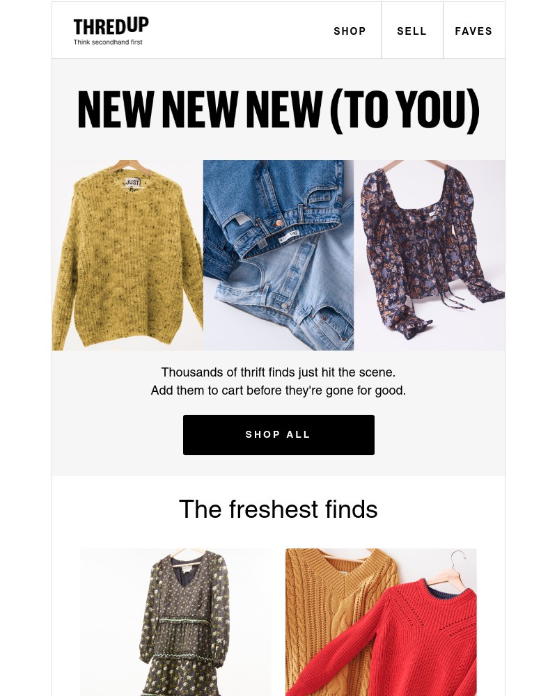Screenshot of email with subject /media/emails/whats-new-everything-in-this-email-b0b28c-cropped-75f94fb5.jpg