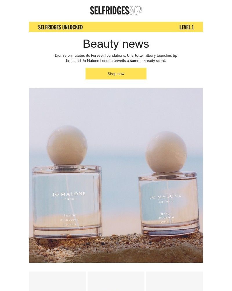 Screenshot of email sent to a Selfridges Newsletter subscriber