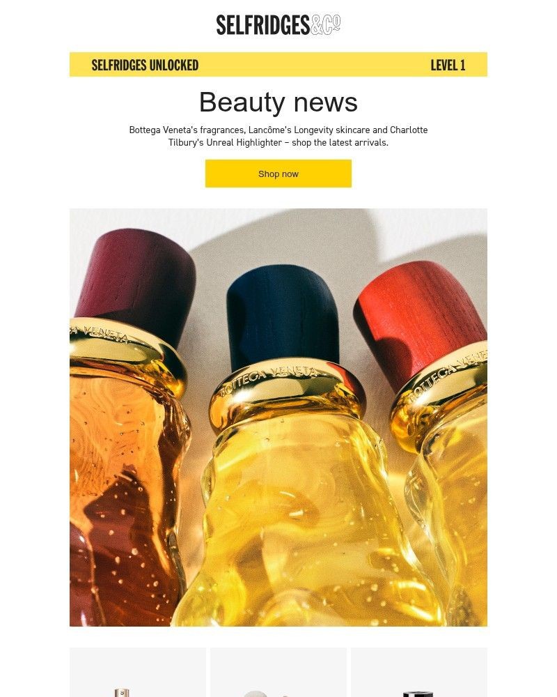 Screenshot of email sent to a Selfridges Newsletter subscriber